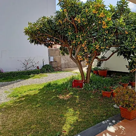 Bed & Breakfast A Nespulara *